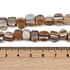 Natural Trochus Shell Beads Strands BSHE-Q050-01B-4