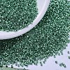 MIYUKI Delica Beads X-SEED-J020-DB0426-1
