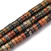 Natural Polychrome Jasper/Picasso Stone/Picasso Jasper Beads Strands G-Z006-C42-2