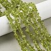 Natural Peridot Beads Strands X-G-P332-48-01-5