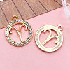 Zinc Alloy Crystal Rhinestone Pendants WGC2D94-01-1