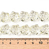 Transparency Glass Beads Strands GLAA-T023-12B-4