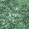 Glass Seed Beads X1-SEED-S042-04A-01-3