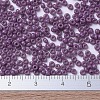 MIYUKI Round Rocailles Beads X-SEED-G007-RR4489-3