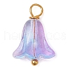 20Pcs Glass Beads Pendants PALLOY-JF03103-3