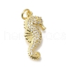 Brass Micro Pave Cubic Zirconia Pendants X-KK-R002-18G-1