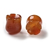 Natural Carnelian(Dyed & Heated) Beads G-G109-01C-2