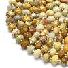 Natural Fossil Coral Beads Strands G-P573-A02-01-3