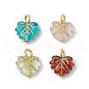 Acrylic with Iron Pendants PALLOY-JF03684-1