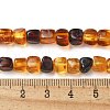 Natural Amber Beads Strands G-K387-E02-01-5