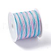 50M Segment Dyed Nylon Chinese Knotting Cord NWIR-A008-02G-2