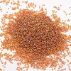 6/0 Round Glass Seed Beads SEED-J011-F6-171-2