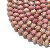 Natural Rhodonite Beads Strands G-P573-A39-01-3