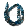 Natural Apatite Beads Strands G-C109-A13-02-3
