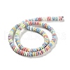 Natural Rainbow Alashan Agate Beads Strands G-NH0022-E01-01-3