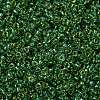 MIYUKI Round Rocailles Beads X-SEED-G009-RR0375-4