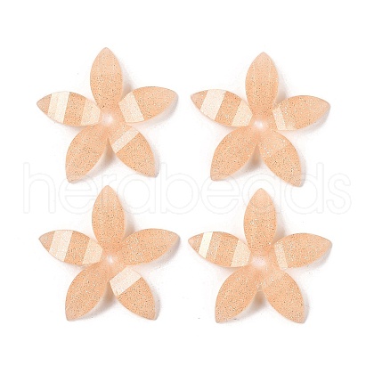 Epoxy Resin Glitter Powder Decoden Cabochons CRES-S367-04-1