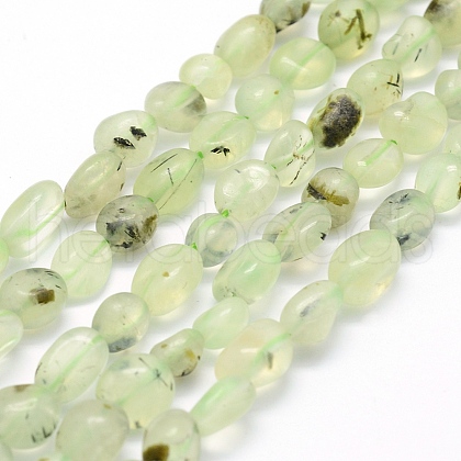 Natural Prehnite Beads Strands G-K230-20-1