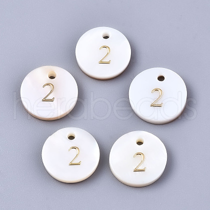 Natural Freshwater Shell Charms SHEL-Q023-02-1