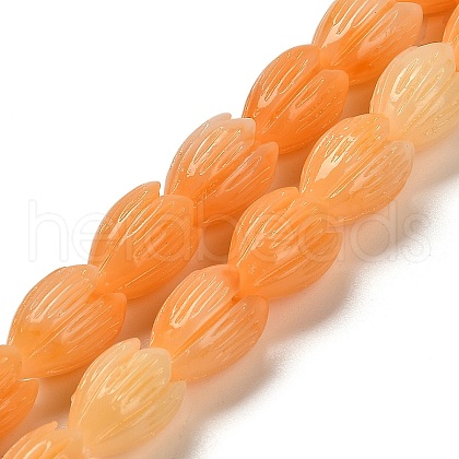 Synthetic Shell Dyed Carved Beads Strands SHEL-K007-08B-03-1