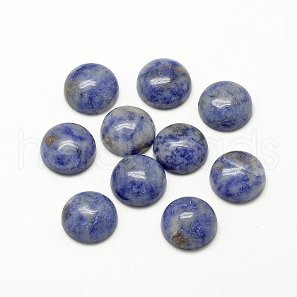 Natural Blue Spot Jasper Cabochons G-R416-10mm-45-1