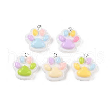 Opaque Resin Pendants MACR-P043-P01-1