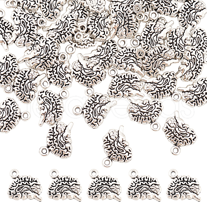 DICOSMETIC 50Pcs Tibetan Style Alloy Charms TIBE-DC0001-01-1