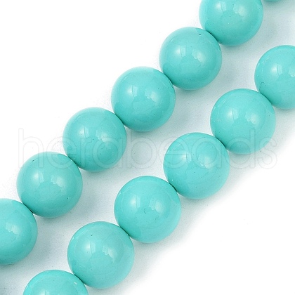 Shell Pearl Beads Strands BSHE-XCP00001-60A-1
