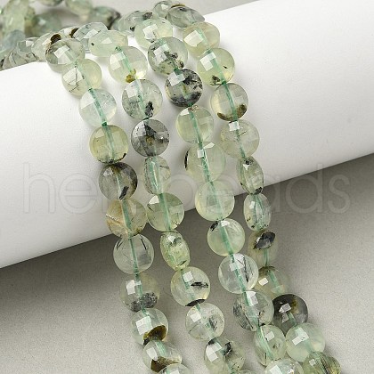 Natural Prehnite Beads Strands G-C179-A51-03-1
