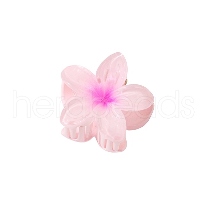 Plastic Claw Hair Clips PW-WG07B2B-02-1