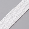 Flat Polyester Cord/Band OCOR-WH0073-46G-1