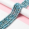 Natural Apatite Beads Strands G-G858-01B-2