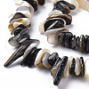 Natural Black Lip Shell Bead Strands SSHEL-N304-102-3