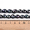 Natural Cultured Freshwater Pearl Beads Strands PEAR-N014-09A-04-6