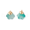 Spray Painted Glass Pendants GLAA-D006-02-3