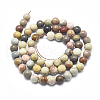 Natura Ocean Jasper Beads Strands G-D0001-07-6mm-2