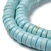 Natural Howlite Beads Strands G-E604-A04-A-4
