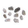 Natural Tourmalinated Quartz/Black Rutilated Quartz Pendants G-B021-06-1