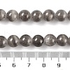 Natural Selenite Beads Strands G-C142-01B-3
