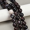 Natural Indian Bloodstone/Heliotrope Stone Beads Strands G-F792-C04-03-1