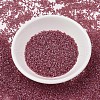 MIYUKI Delica Beads SEED-X0054-DB1746-2