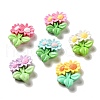 Flower Theme Opaque Resin Decoden Cabochons X-RESI-C044-02-1