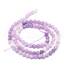Natural Lepidolite/Purple Mica Stone Beads Strands G-P457-A03-01-3