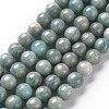 Natural Amazonite Beads Strands G-S333-8mm-005-1