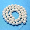 Round Shell Pearl Bead Strands BSHE-L011-12mm-A013A-3