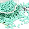 Baking Paint Glass Seed Beads SEED-H002-I-B506-1