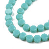 Opaque Solid Color Glass Beads Strands GLAA-N052-05A-A15-3