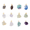 12Pcs 12 Styles Raw Rough Natural Gemstone Pendants PALLOY-AB00220-1
