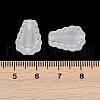 Frosted Transparent Acrylic Beads OACR-P029-17B-01-4