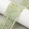 Natural Prehnite Beads Strands G-S300-12-3mm-01-5